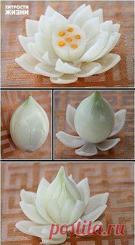 (11) Одноклассники