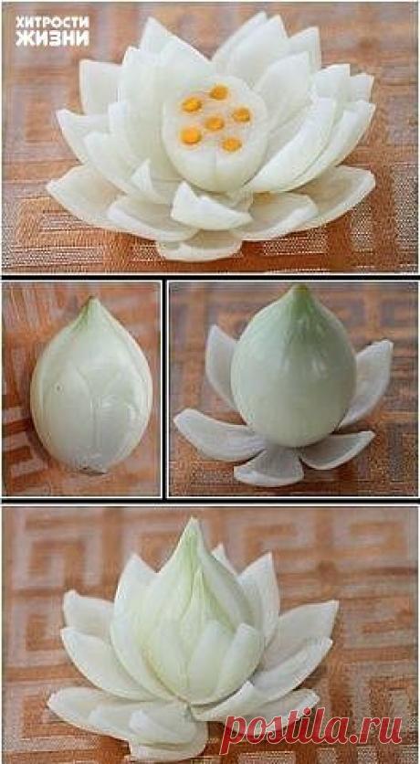 (11) Одноклассники