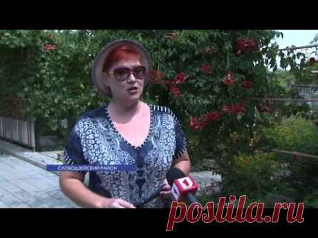 Как уберечь себя от укусов пчёл и ос