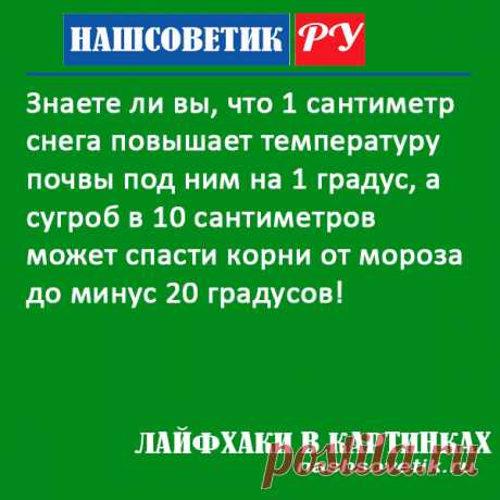 Стоит ли укрывать грядки снегом? Берём на заметку! Лайфхаки в картинках