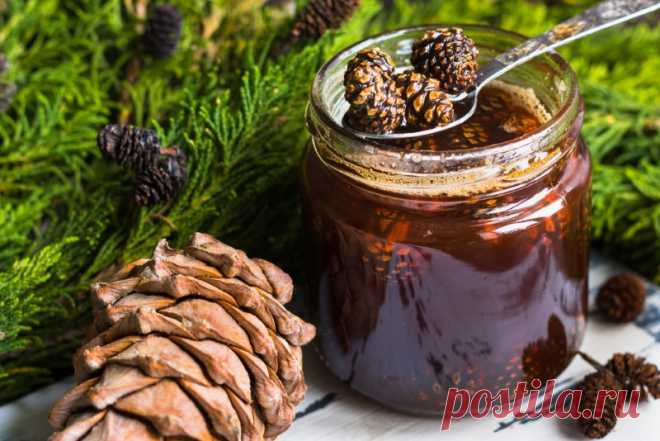 Сезонный рецепт! Рецепт лечебного варенья из сосновых шишек | Вкусные рецепты