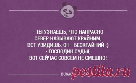 Прикольные картинки от серых будней (49 шт)
