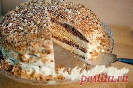 Рецепт из детства «Сметанник».
Ингридиенты:
8 столовых ложек муки
100 г сахарной пудры
1 столовая ложка какао
1 чайная ложка разрыхлителя
100 г сливочного масла
1 банка сгущенки
100 г сливочного масла
700 г сметаны 20%
Способ приготовления:
1. Взбиваем с яйцами масло комнатной температуры.
2. Добавить сгущенку и продолжаем взбивать. Потом добавляем разрыхлитель, снова взбиваем 30 секунд.
3. В тесто просеем муку и перемешаем быстрыми круговыми движения тесто лопаточкой.
4. Поделим тесто на 2