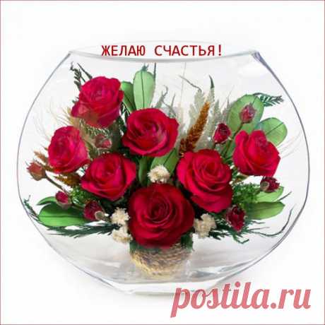 Мой Мир@Mail.Ru