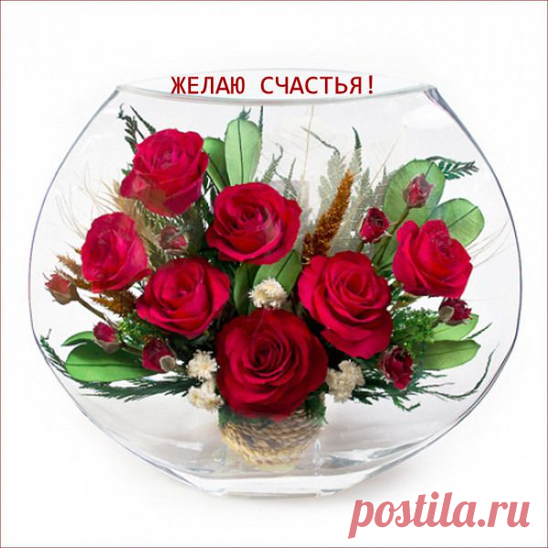 Мой Мир@Mail.Ru