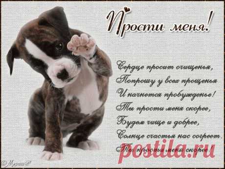 Яндекс.Фотки