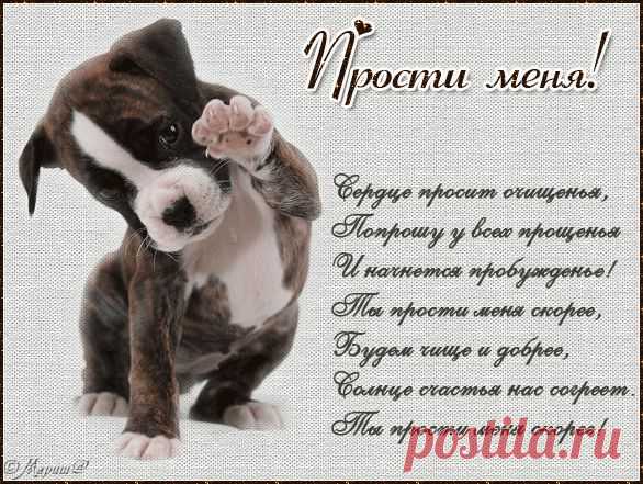 Яндекс.Фотки