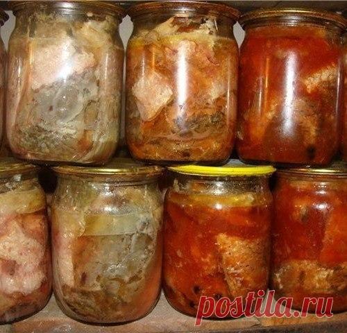 Интересные новости