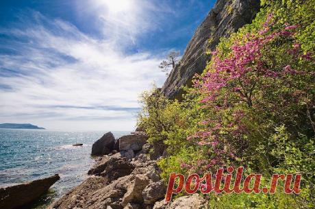 Весенний Крым