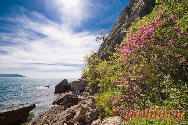 Весенний Крым