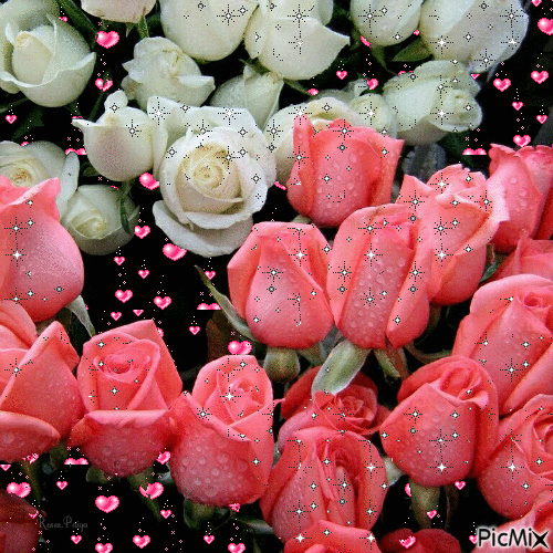 ✿РОЗЫ ВАМ С ЛЮБОВЬЮ!✿