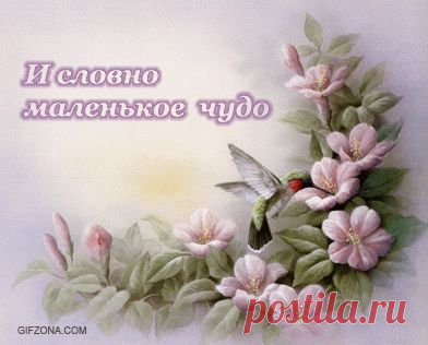 Анимированные со стихами открытки - Стихи - аниме со стихами - Анимация, аниме, анимашки - Машка - Анимашка: скачать анимации картинки анимашки