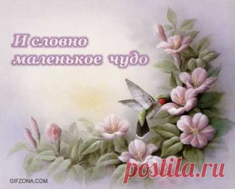 Анимированные со стихами открытки - Стихи - аниме со стихами - Анимация, аниме, анимашки - Машка - Анимашка: скачать анимации картинки анимашки