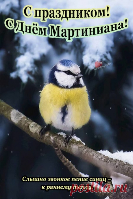 Мартинианов день!