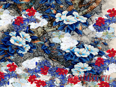 San Chad * Черных А.Д.