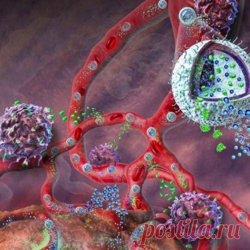 Антирак: 4 известных доктора о лечении и профилактике онкологических заболеваний