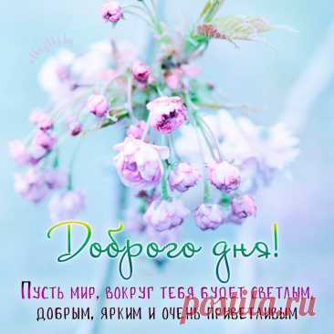 Желаю хорошего дня,
Улыбок тебе и тепла,
Пускай тебя ждёт успех
И будешь ты лучше всех.

В новый день — в новый путь,
Обо всем нехорошем забудь.
Желаю лёгкой работы,
Чтоб всё было без заботы. открытки с добрым днем