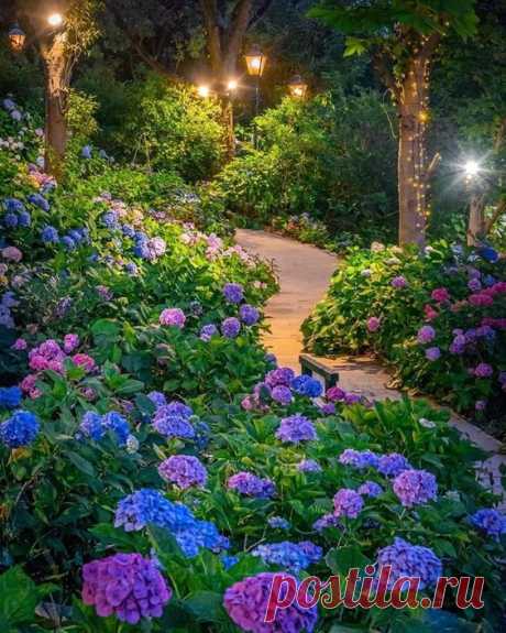 Pinterest