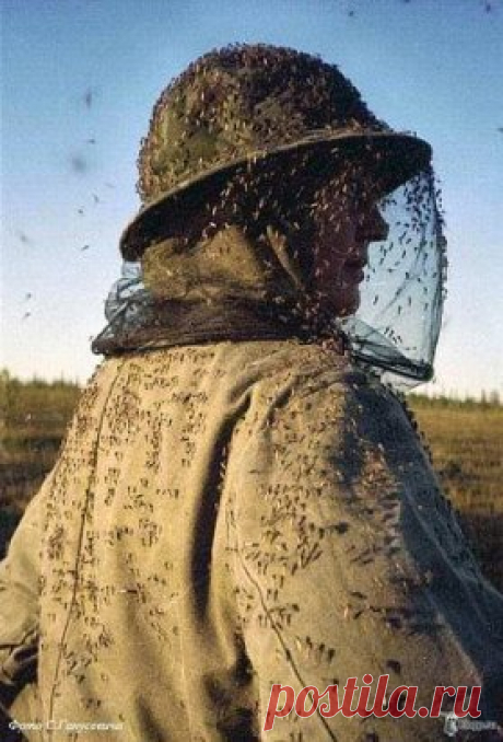 (60) Одноклассники