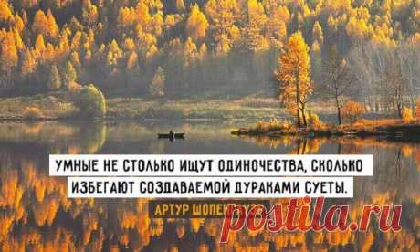 20 цитат «философа пессимизма» Артура Шопенгауэра Известный немецкий философ XIX века Артур Шопенгауэр был известным мизантропом, закоренелым холостяком и любителем свободы. Он тяготел к немецкому