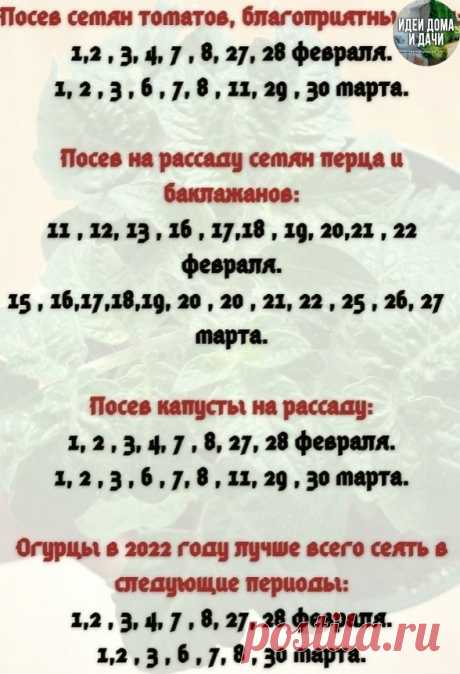 U6J43lQKhp8.jpg (588×862)