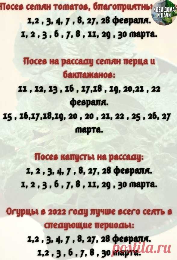 U6J43lQKhp8.jpg (588×862)