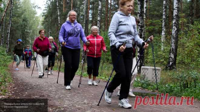 Ученые усомнились в пользе ежедневной продолжительной ходьбы пешком Ученые подвергли сомнению теорию о том, что для поддержания хорошей физической формы необходимо проходить десять тысяч шагов ежедневно.