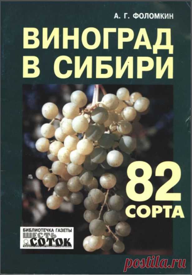 Книга в подарок