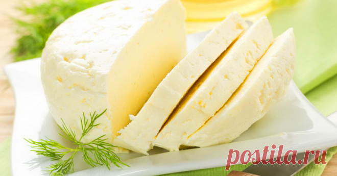 Домашний французский сыр: вкусно, просто и дешево!