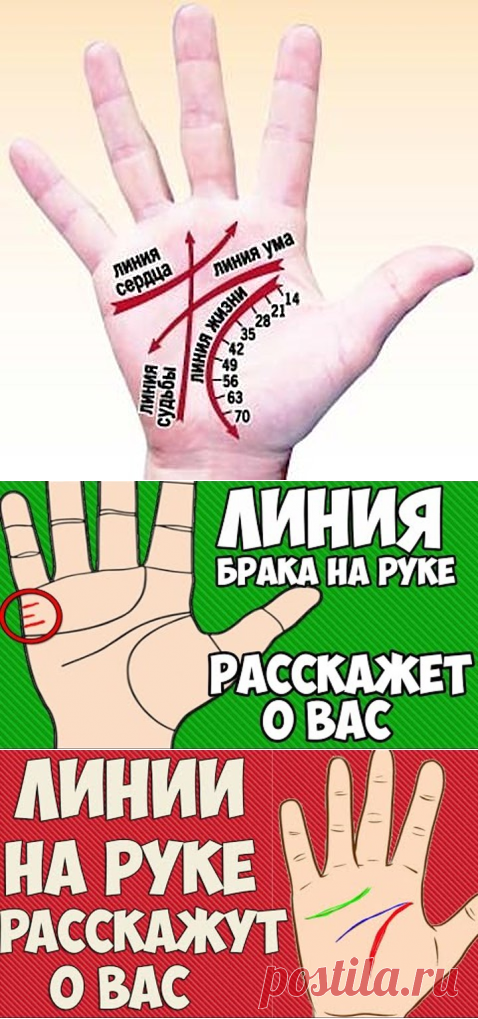 Одноклассники