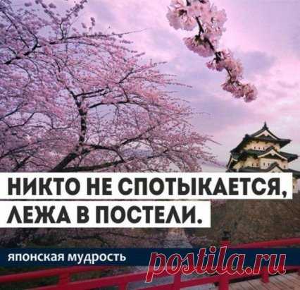 Японская мудрость. 35 ключевых фраз.
1. Уступай дорогу дуракам и сумасшедшим.
2. Женщина захочет — сквозь скалу пройдёт.
3. Не задерживай уходящего, не прогоняй пришедшего.
4. Быстро — это медленно, но без перерывов.
5. Лучше быть врагом хорошего человека, чем другом плохого.
6. Без обыкновенных людей не бывает великих.
7. Кто сильно желает подняться наверх, тот придумает лестницу.
8. Муж с женой должны быть подобны руке и глазам: когда руке больно — глаза плачут, а когда ...