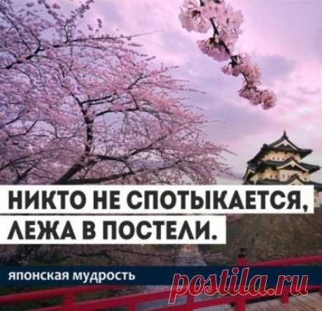 Японская мудрость. 35 ключевых фраз.
1. Уступай дорогу дуракам и сумасшедшим.
2. Женщина захочет — сквозь скалу пройдёт.
3. Не задерживай уходящего, не прогоняй пришедшего.
4. Быстро — это медленно, но без перерывов.
5. Лучше быть врагом хорошего человека, чем другом плохого.
6. Без обыкновенных людей не бывает великих.
7. Кто сильно желает подняться наверх, тот придумает лестницу.
8. Муж с женой должны быть подобны руке и глазам: когда руке больно — глаза плачут, а когда ...