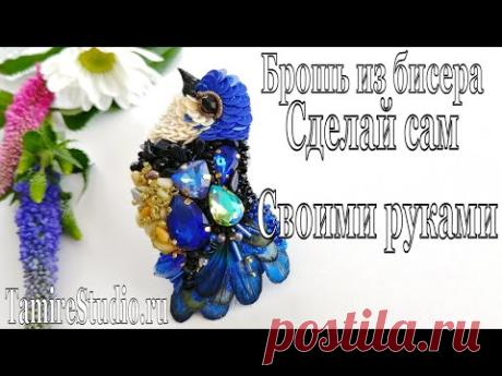 БРОШЬ из бисера и кристаллов "Райская птичка"- БРОШИ своими руками / МАСТЕР-КЛАСС ✨TamireStudio✨