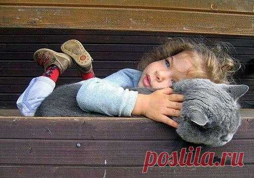 Любители красивых картинок ;) В Кругу Друзей — социальная сеть