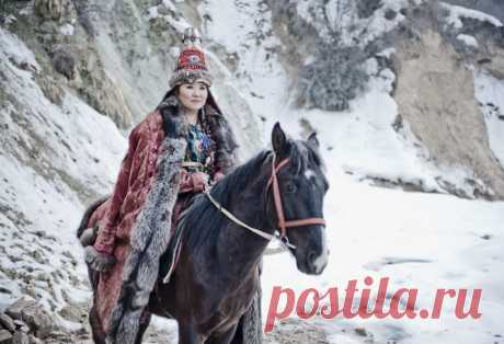 Какие травы собирать в августе: 6 самых ценных растений – Lisa.ru