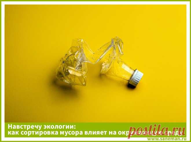 Навстречу экологии: как сортировка мусора влияет на окружающую среду В статье речь идет о влиянии мусора на окружающую среду, а также о том, что такое экологическая ответственность.