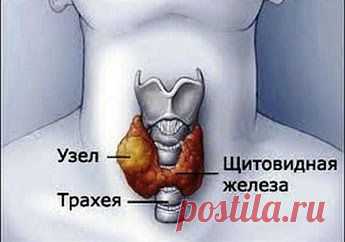 Умные Советы #Wise advice – Сообщество – Google+