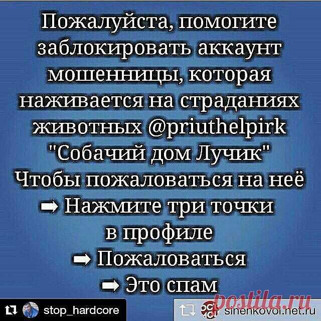 @Regrann from @stop_hardcore - ・・・
Repost from @eli_smy  #TopRankRepost 🙋Очень, очень нужны люди🙏🙇 У синей много подпиcчиков, в связи с этим нужно много жалоб, чтоб ее завалить.
・・・
Repost from @sinenkovoi.net.ru - Ссылка на профиль мошенницы ➡ @priuthelpirk
🔵
Подробно в аккаунтах ➡ @sinenkovoi.net.ru @eli_smy @stop_hardcore
🔵
Материалы о мошеннице собраны по хештегам ➡
#priuthelpirk #приютлучик✴ #ира_с  #приютлучик