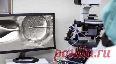 Мурашко: в России удалось победить очередь на ЭКО. Доступность экстракорпорального оплодотворения (ЭКО) в России растёт. Об этом в интервью ТАСС заявил глава Минздрава Михаил Мурашко. Читать далее