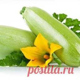 Хранение кабачков зимой | Делимся советами