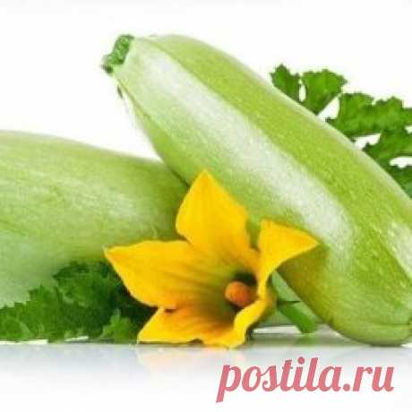 Хранение кабачков зимой | Делимся советами
