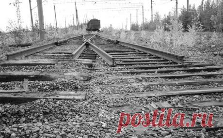 Wall | VK................................Я устал идти по пути демократических реформ, у меня кончились деньги, спились соседи и погибли друзья.
А в моем телевизоре зловеще воет ветер будущих перемен, и головы дикторов новостей наперебой пугают меня достояниями демократии. 
Я потихоньку мечтаю купить пирожок с повидлом за восемь советских копеек и завернуть селедку в свежий номер газеты 'Правда'. .................