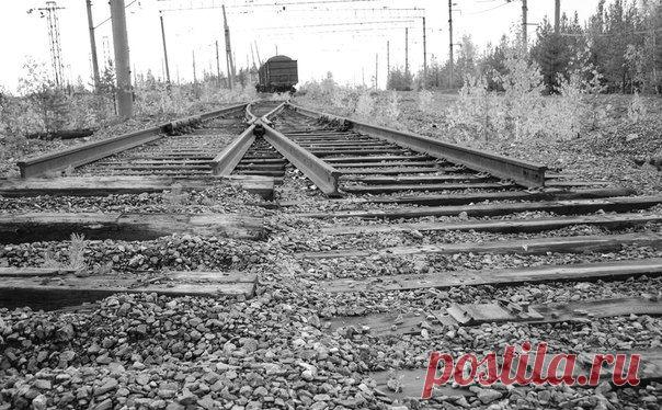 Wall | VK................................Я устал идти по пути демократических реформ, у меня кончились деньги, спились соседи и погибли друзья.
А в моем телевизоре зловеще воет ветер будущих перемен, и головы дикторов новостей наперебой пугают меня достояниями демократии. 
Я потихоньку мечтаю купить пирожок с повидлом за восемь советских копеек и завернуть селедку в свежий номер газеты 'Правда'. .................