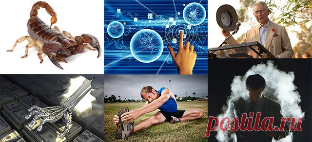 Интересные и смешные факты обо всём | LivePosts — последние новости, полезные статьи, обзоры