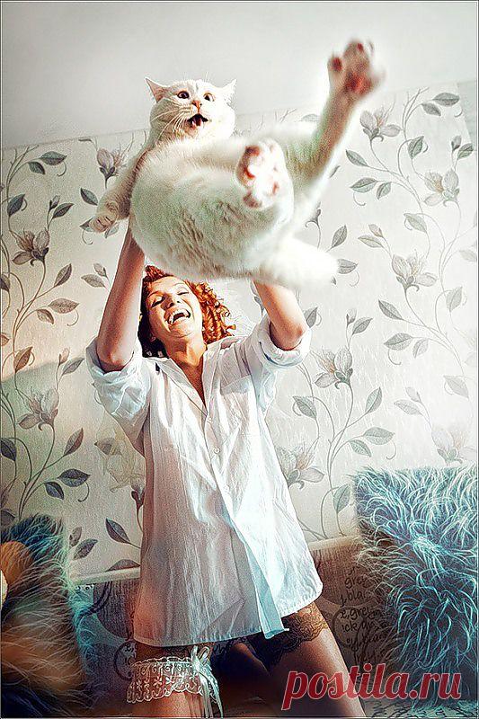 Всё о кошках. — «Совсем хозяйка екнулась от счастья,» на Яндекс.Фотках