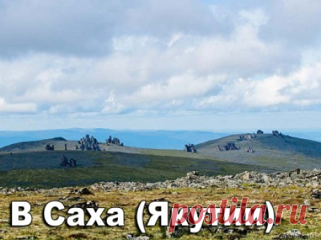"Сила Сибири" - до 2020 года. "Золото" дзюдоистов. "Спасём Эрэла". Чемпионат по велогонкам. Молоко Якутии - 4 Октября 2016 - Russia-Asia-Siberia