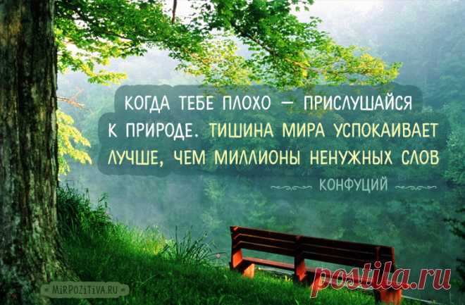 Конфуций: цитаты и афоризмы