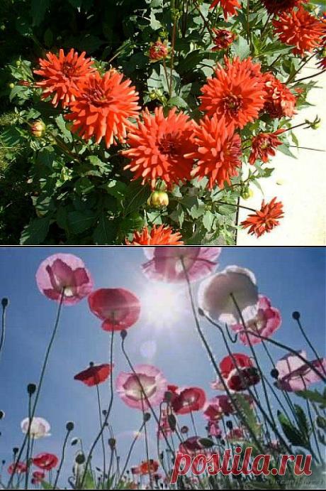 Cristina Rodriguez Fernandez