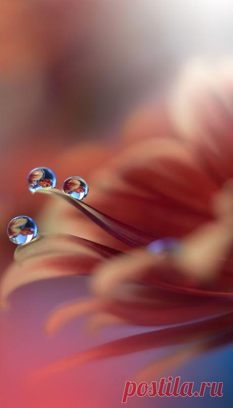 (2608) Pinterest