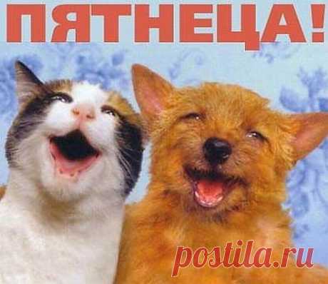 Одноклассники